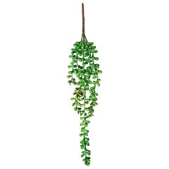 Растение для террариума "Крестовник ампельный", зеленое, 80*20*700мм, Laguna фото