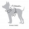 Попона для собак утепленная с юбкой "Звезда диско" M, черная, размер 30см, серия BE TRENDY, Triol