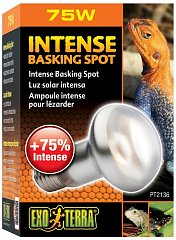 Лампа для баскинга Intense basking spot  75 Вт. 63mm. PT2136 фото