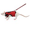 Комплект шлейка и поводок для крысы "Лариска", 160*230мм