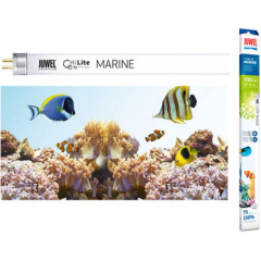 Люминесцентные лампы JUWEL High-Lite Marine фото