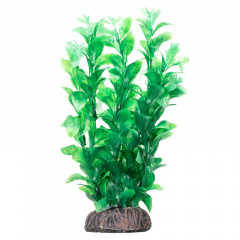 Растение "Людвигия" зеленая, 200мм, Laguna фото