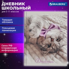 Дневник 5-11 класс 48 л., твердый, BRAUBERG, глянцевая ламинация, с подсказом, Котик, 107188 фото