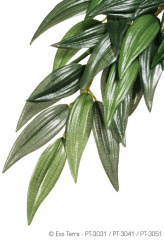 Тропическое растение EX Jungle Plants пластиковое Рускус среднее 55х25см PT3041 фото
