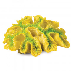 Коралл искусственный "Симфиллия", зелено-желтая, 170*130*65мм, Laguna фото