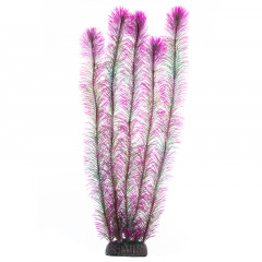 Растение "Перистолистник" фиолетовый, 500мм, Laguna фото