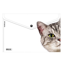 Папка-конверт на кнопке пластиковая ErichKrause Hiding Cats, A4, ассорти, 61155 фото