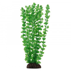 Растение "Бакопа" зеленая, 100мм, Laguna фото
