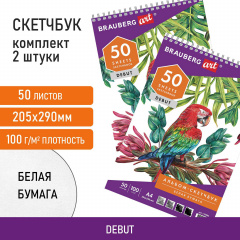 Скетчбук-блокнот для рисования белая бумага 100 г/м2, 205х290 мм, 50 л., КОМПЛЕКТ 2 шт., BRAUBERG, 880274, 110983 фото