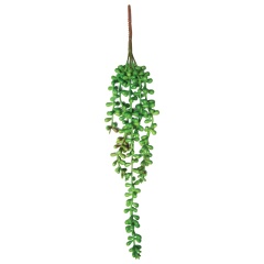 Растение для террариума "Крестовник ампельный", зеленое, 80*20*370мм, Laguna фото