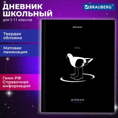 Дневник 5-11 класс 48 л., твердый, BRAUBERG, матовая ламинация, с подсказом, Штош, 107190 фото