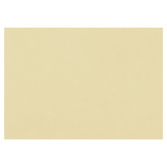 Бумага для пастели (1 лист) FABRIANO Tiziano А2+ (500х650 мм), 160 г/м2, песочный, 52551006 фото