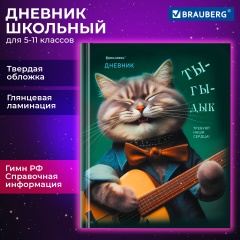 Дневник 5-11 класс 48 л., твердый, BRAUBERG, глянцевая ламинация, с подсказом, Ты-Гы-Дык, 107184 фото