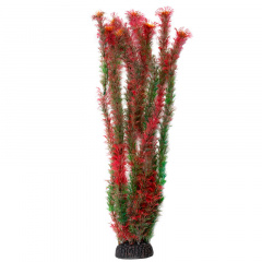 Растение "Амбулия" красная, 500мм, Laguna фото