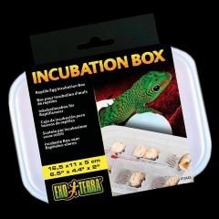 Контейнер Incubation Box для инкубации яиц, H224437 фото