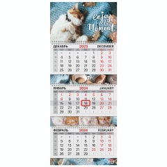 Календарь квартальный на 2024г, 3 блока 3 гребня с бегунком, мел. бум., Sleepy cat, BRAUBERG, 115303 фото