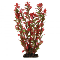Растение "Людвигия" красная, 100мм, Laguna фото
