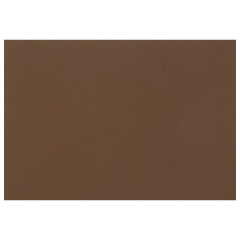 Бумага для пастели (1 лист) FABRIANO Tiziano А2+ (500х650 мм), 160 г/м2, кофейный, 52551009 фото