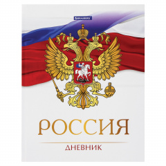 Дневник 5-11 класс 48 л., твердый, BRAUBERG, глянцевая ламинация, с подсказом, "Символика 2", 106067 фото