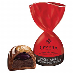 Конфеты шоколадные O'ZERA со вкусом трюфель-клюква в молочном шоколаде, 500 г, пакет,, УК752 фото