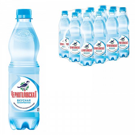 Вода негазированная минеральная "ЧЕРНОГОЛОВСКАЯ", 0,5 л, пластиковая бутылка фото