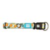 Ошейник для собак 2,5*39-62см Smart ID, L, Сладкий ананас