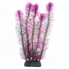 Растение "Перистолистник" фиолетовый, 300мм, Laguna фото