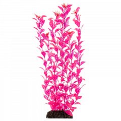 Растение "Людвигия" ярко-розовая, 500мм, Laguna фото
