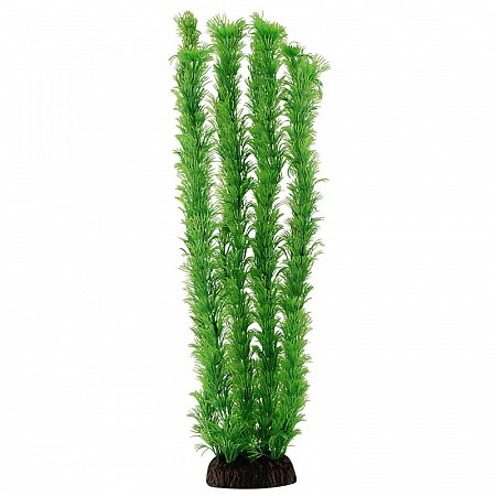 Растение "Амбулия" зеленая, 400мм, Laguna фото