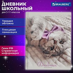 Дневник 5-11 класс 48 л., твердый, BRAUBERG, глянцевая ламинация, с подсказом, Котик, 107188 фото