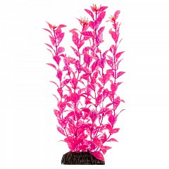 Растение "Людвигия" ярко-розовая, 400мм, Laguna фото