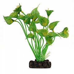 Растение "Спатифиллум" зеленый, 200мм, Laguna фото