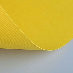 Бумага(картон) для творчества (1 лист) Fabriano Elle Erre А2+ 500*700мм, 220г/м2, желтый, 42450707 фото