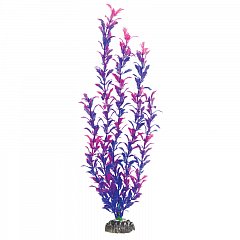 Растение "Людвигия фиолетовая", 500мм, Laguna фото