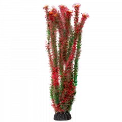 Растение "Амбулия" красная, 500мм, Laguna фото