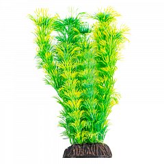 Растение "Амбулия" жёлто-зеленая, 200мм, Laguna фото