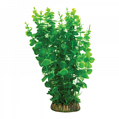 Растение с распылителем "Бакопа" зеленая, 400мм, (блистер), Laguna фото