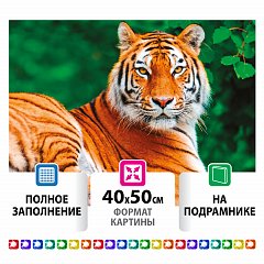 Картина стразами (алмазная мозаика) 40х50 см, ОСТРОВ СОКРОВИЩ "Тигр", на подрамнике, 662427 фото