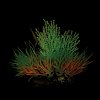Композиция из светящихся растений, бордово-бирюзовая, 120мм