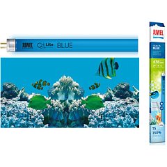 JUWEL, Лампа BLUE T5, 24W, 43.8 см фото