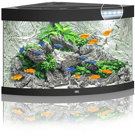 TRIGON 190 LED аквариум 190л черный (Black) 98,5х70х60см 2х14W Фильтр Bioflow M, Нагр200W фото