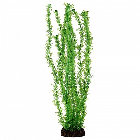 Растение "Лигодиум" зеленый, 400мм, Laguna фото