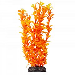 Растение "Людвигия" ярко-оранжевая, 300мм, Laguna фото