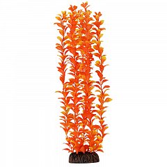 Растение "Людвигия" оранжевая, 400мм, Laguna фото