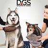 Dog Gone Smart коврик для животных супер-впитывающий Doormat S, коричневый мокко
