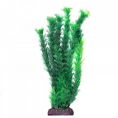 Растение "Амбулия" зеленая, 300мм, Laguna фото