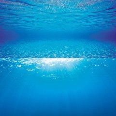 Фон в аквариум двусторонний "Poster 2", голубая вода, 150х60см JUWEL фото