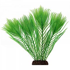 Растение "Эгерия" зеленая, 250мм, Laguna фото