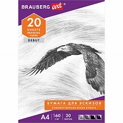 Папка для рисования А4, 20 л., 160 г/м2, BRAUBERG, 210х297 мм, "Орел", 125230 фото