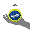 Nerf Мяч из вспененной резины и нейлона. 10 см